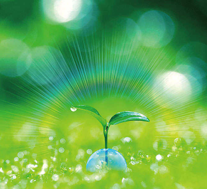 香港六和全年资料大全