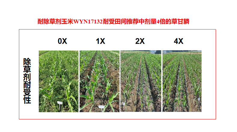 香港六和全年资料大全