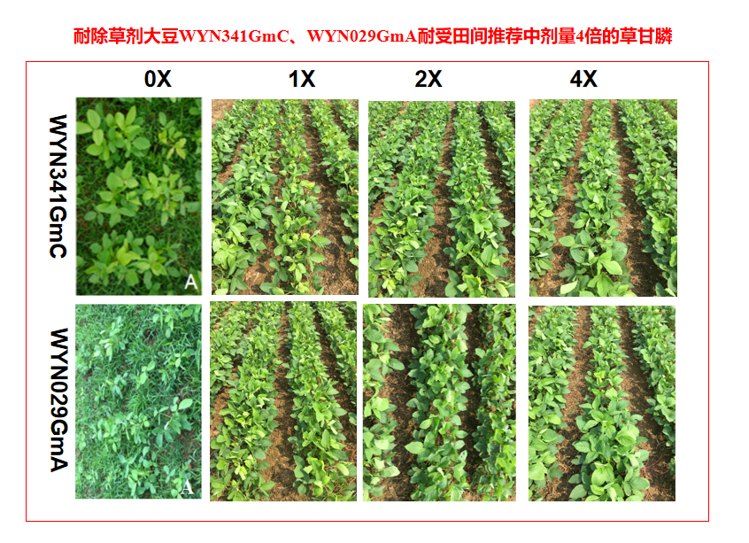 香港六和全年资料大全