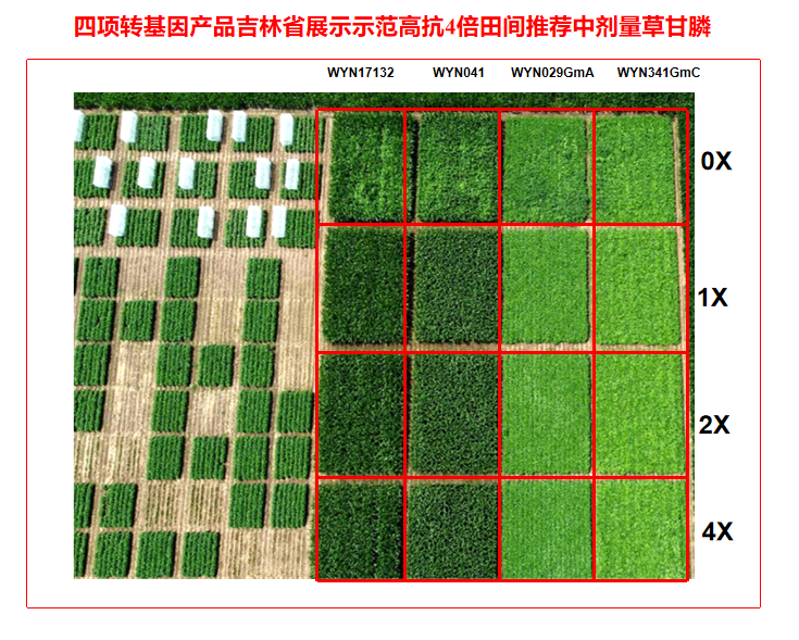 香港六和全年资料大全