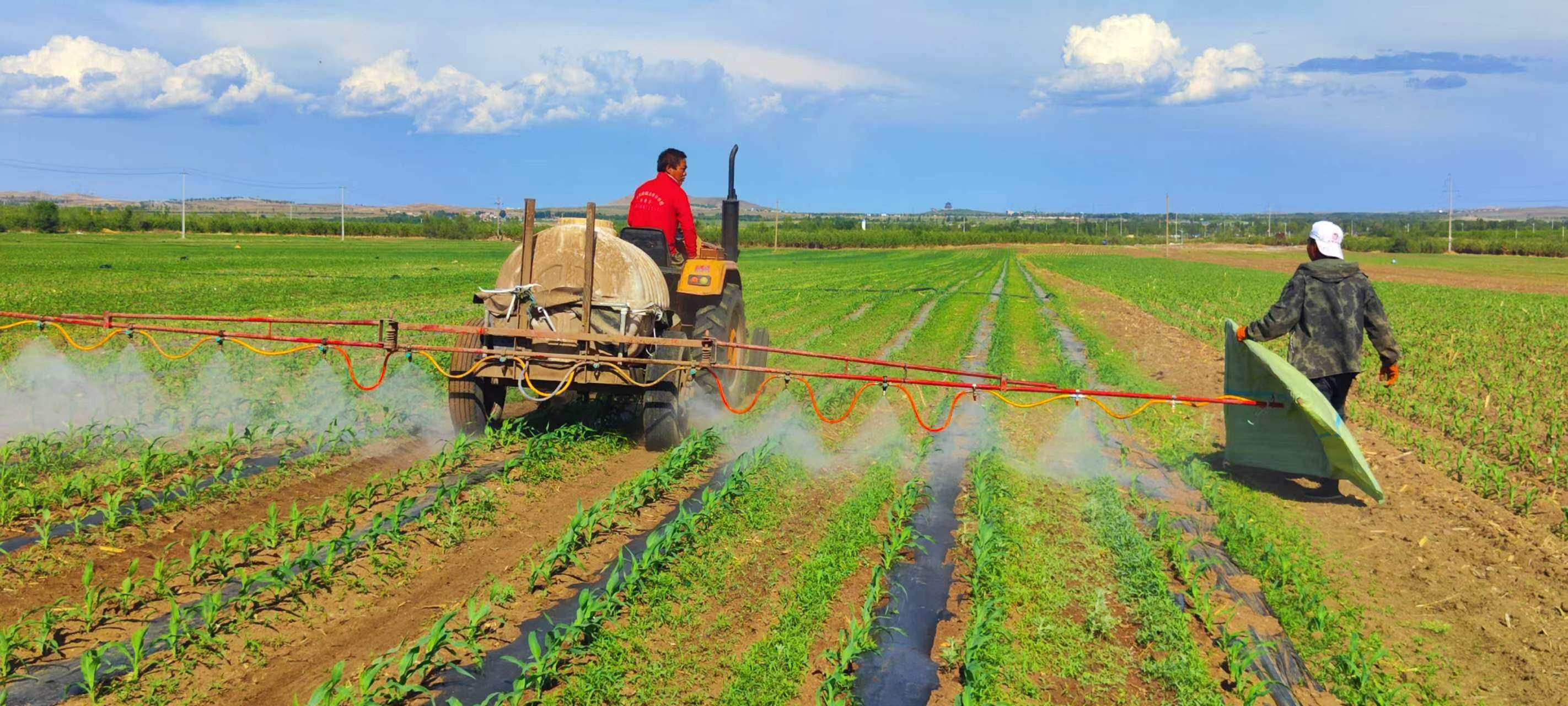 香港六和全年资料大全