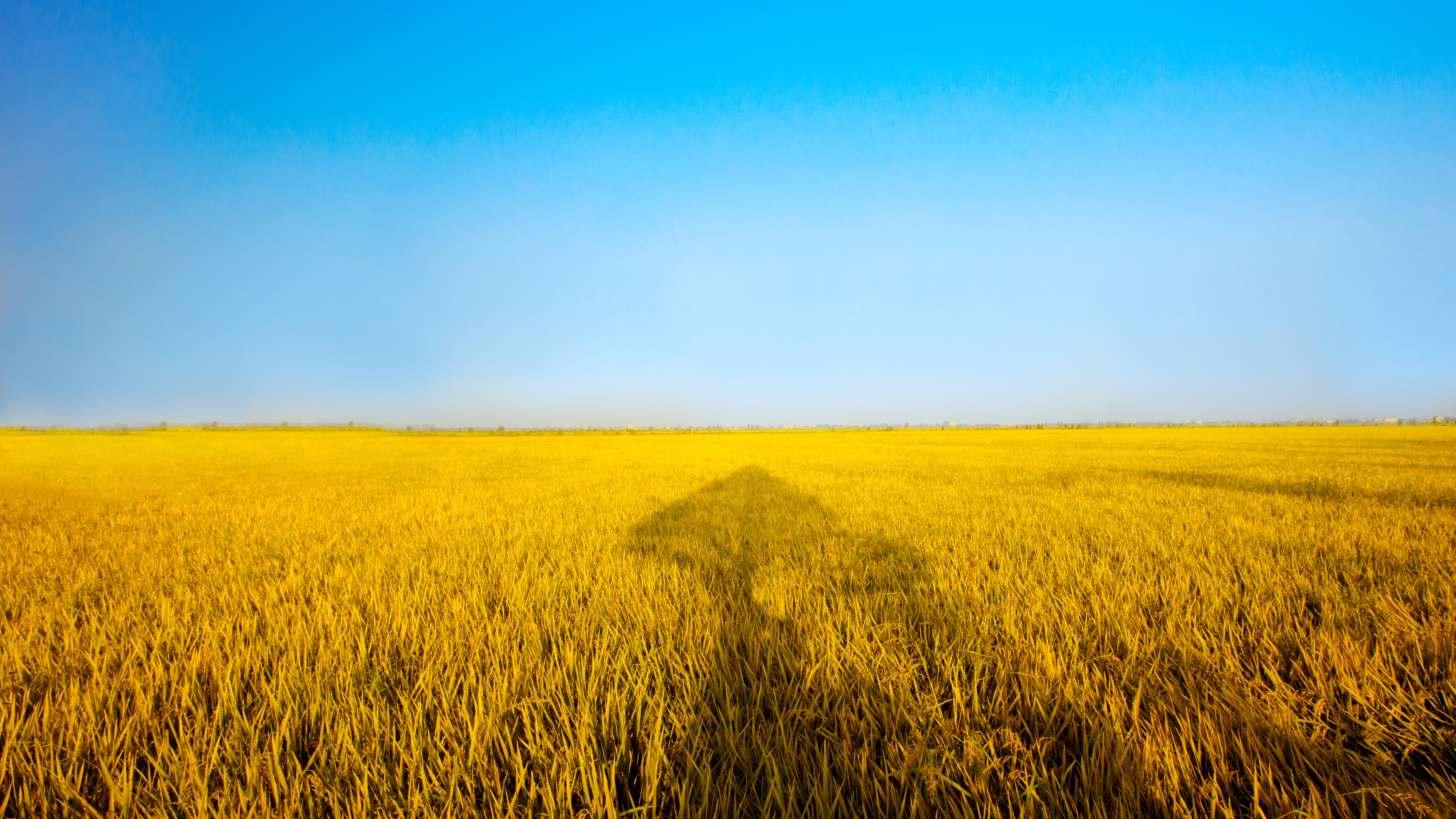 香港六和全年资料大全