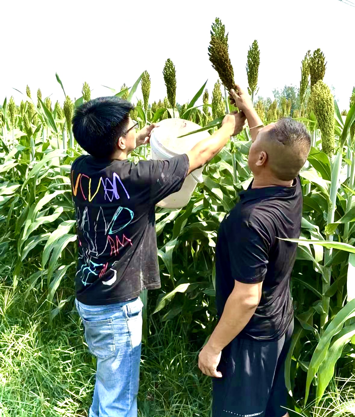 1727056247172725KV5t.jpg 香港六和全年资料大全