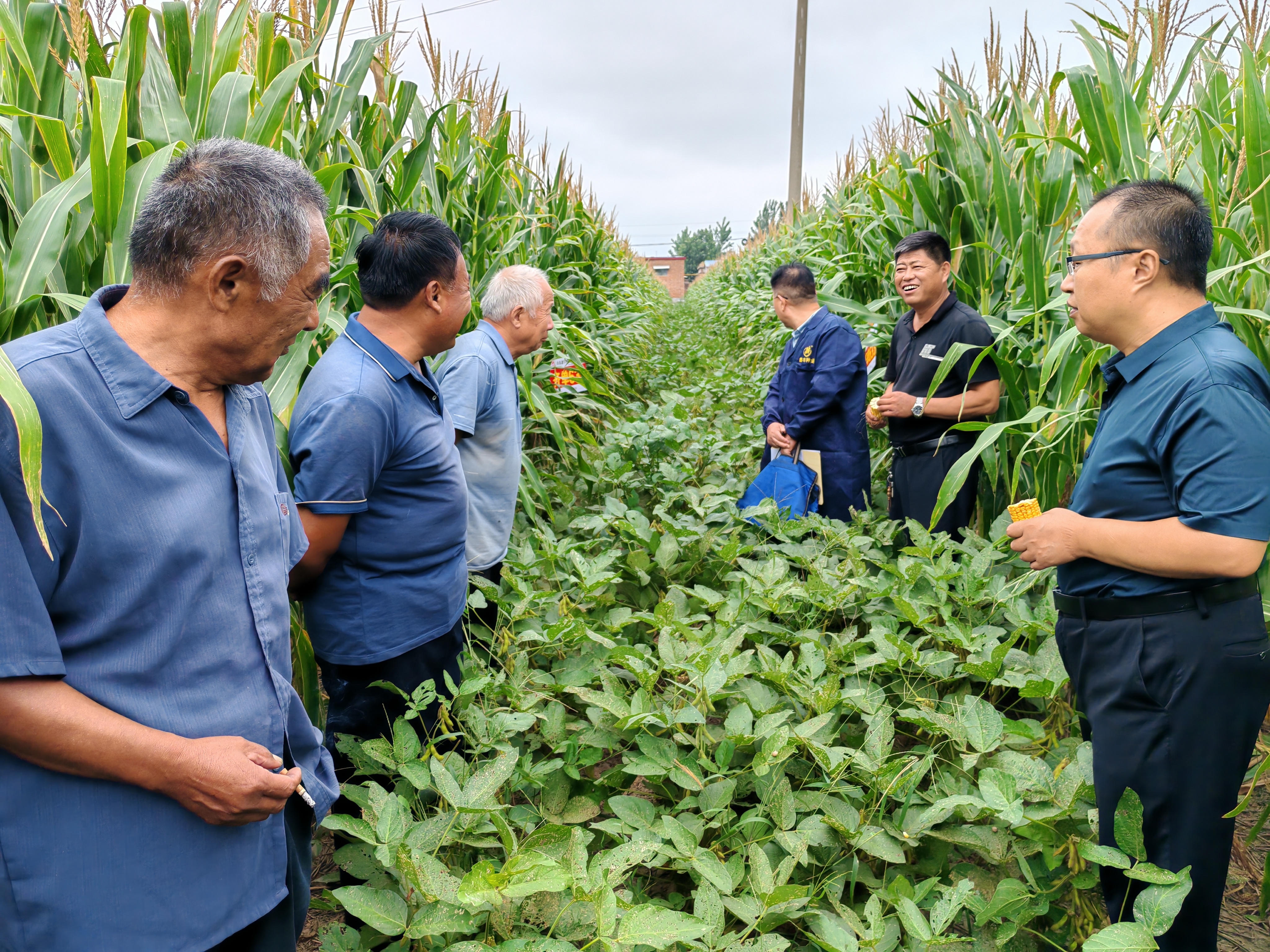 1727056320777031HpOr.jpg 香港六和全年资料大全