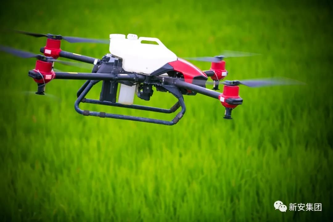 香港六和全年资料大全