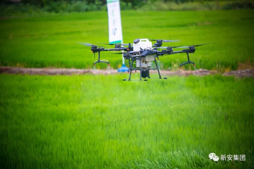 香港六和全年资料大全