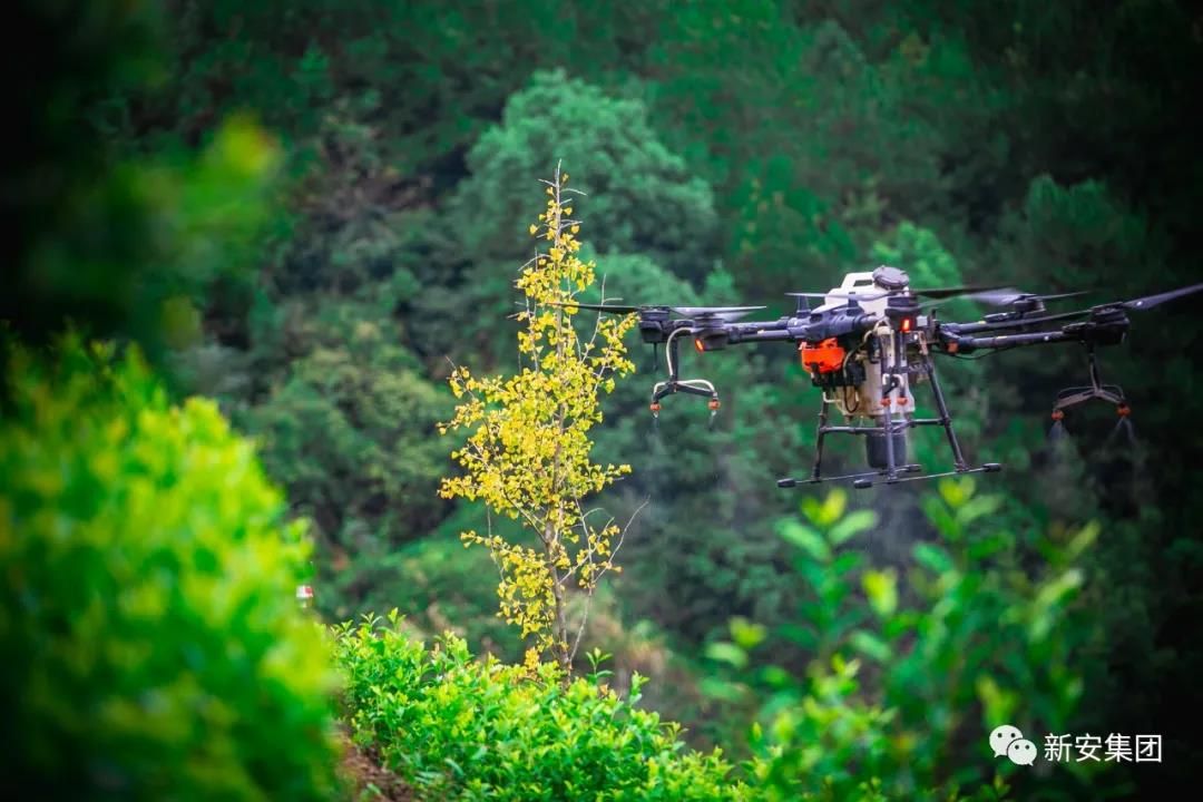 香港六和全年资料大全