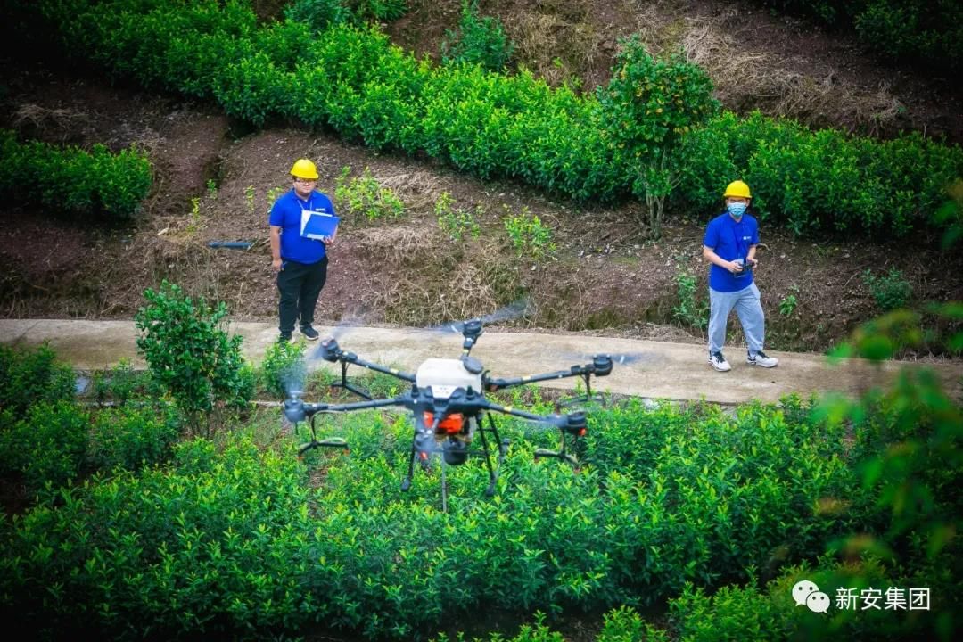 香港六和全年资料大全
