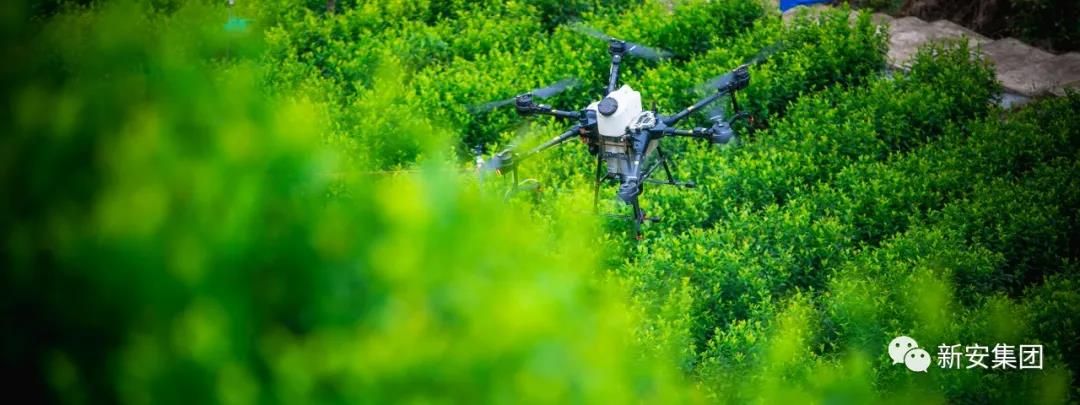 香港六和全年资料大全