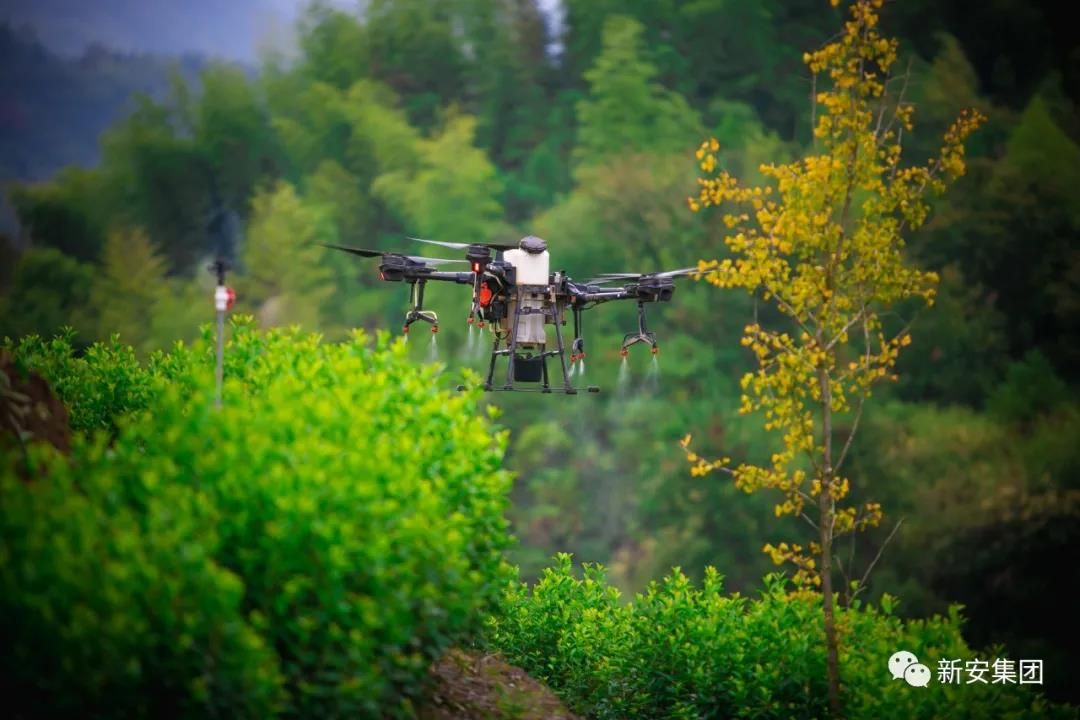香港六和全年资料大全