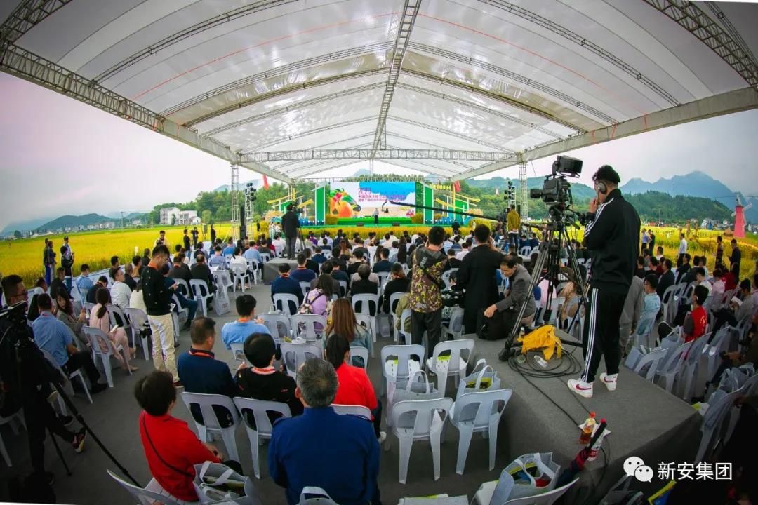 香港六和全年资料大全