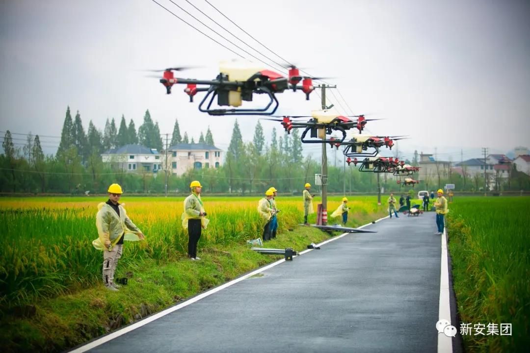 香港六和全年资料大全