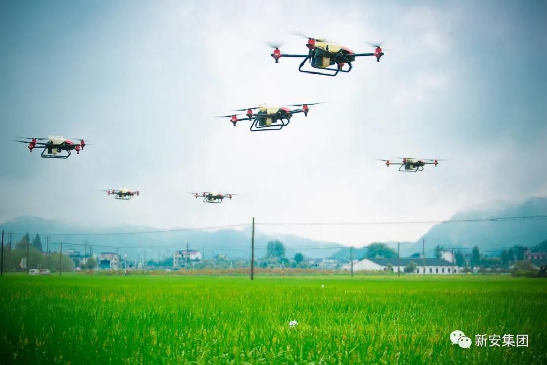 香港六和全年资料大全