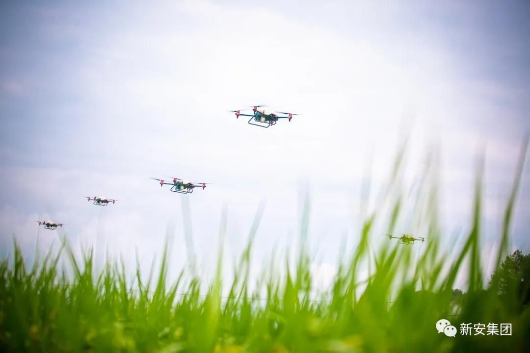 1602054389792111QhFN.jpg 香港六和全年资料大全